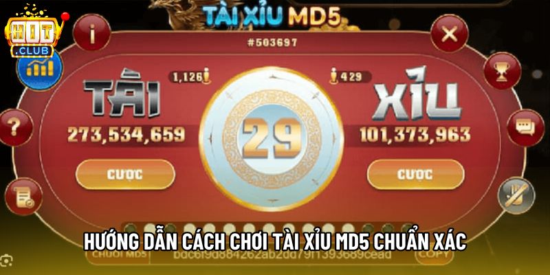 Hướng dẫn cách chơi tài xỉu MD5 chuẩn xác